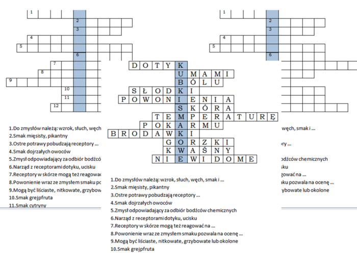 Logogryf na podsumowanie lekcji o zmysłu powonienia, smaku i dotyku