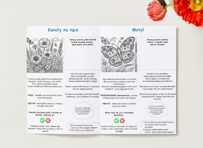 Kolorowanki. Zwierzęta. Rośliny. Drzewa. Las. Łąka. Podstawowe pojęcia (przyroda).