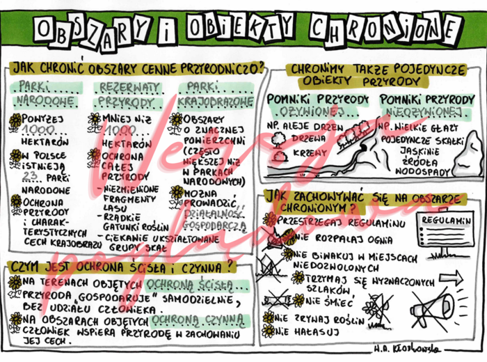 Obszary i obiekty chronione - przyroda klasa 4 -wypełniona karta pracy