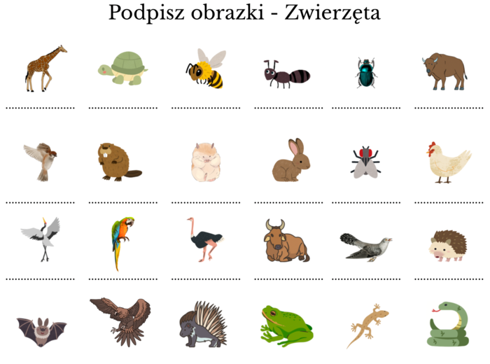 Zwierzęta - trudności ortograficzne