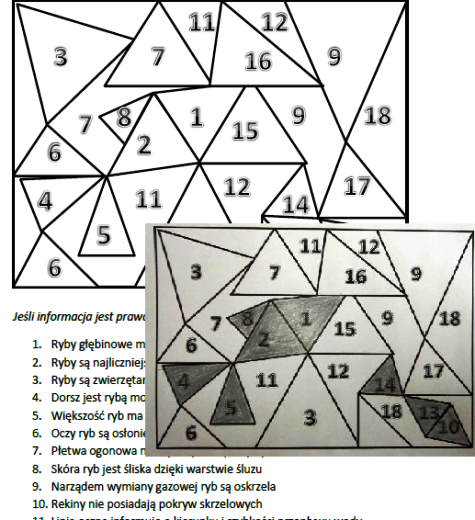 Ryby kolorowanka, prawda czy fałsz