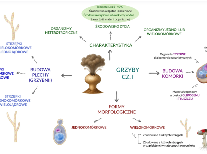 PAKIET: bakterie + protisty + grzyby + klasyfikacja organizmów 2 KLASA BIOLOGIA ROZSZERZONA