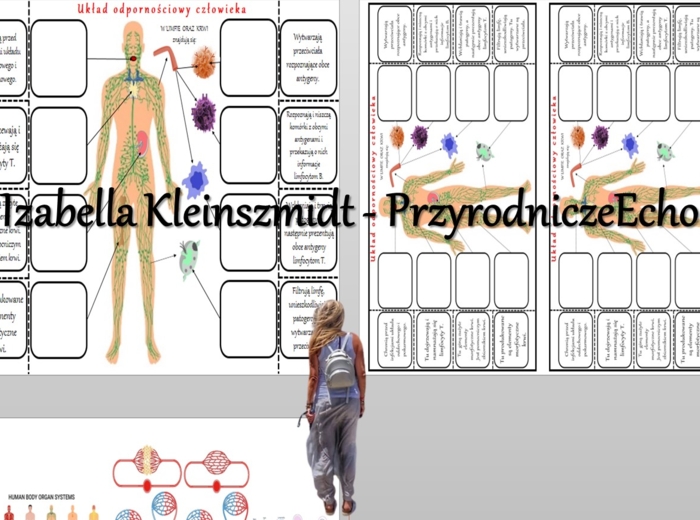 Notatka okienkowa „Budowa i funkcjonowanie układu odpornościowego” w pdf. Biologia 7, dział „Układ krążenia”.