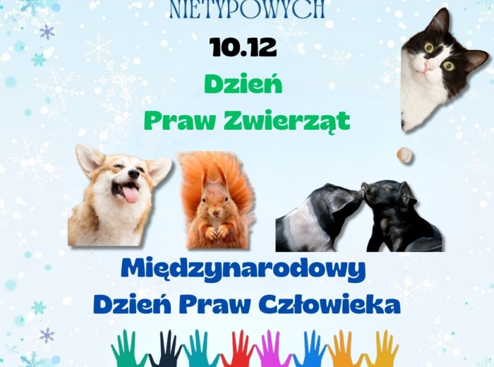 PAKIET MATERIAŁÓW NA GRUDZIEŃ WEDŁUG KALENDARZA ŚWIĄT I DNI NIETYPOWYCH.