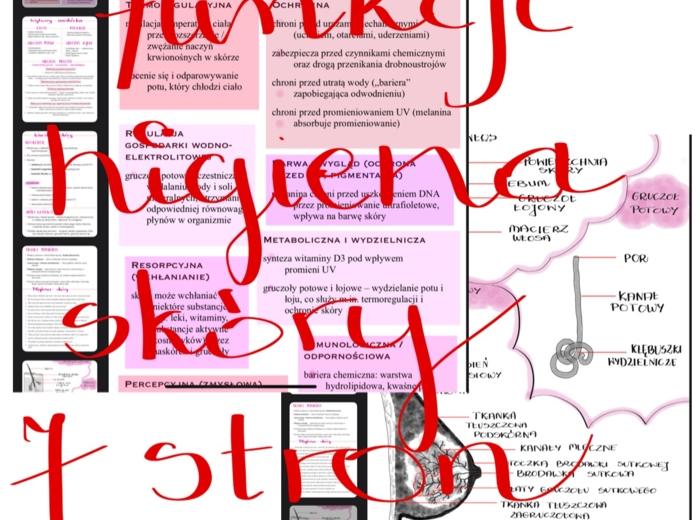 7 stron notatek - skóra