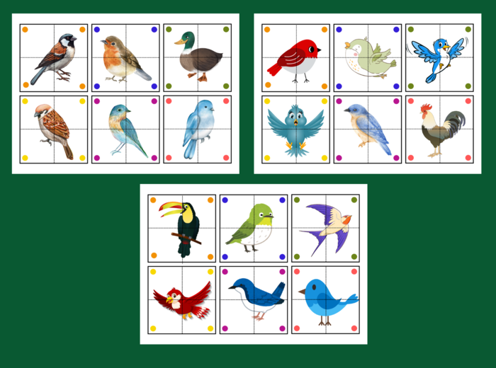 DZIEŃ PTAKÓW – puzzle – układanka- układanki – biblioteka – świetlica – przedszkole – 36 wersji – WIOSNA