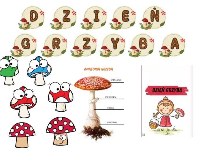 DZIEŃ GRZYBA
