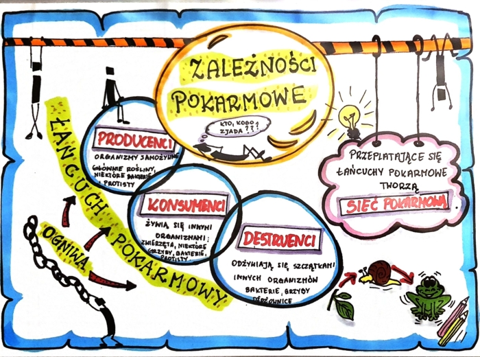 Klasa 4. Przyroda. Karta pracy. Zależności pokarmowe