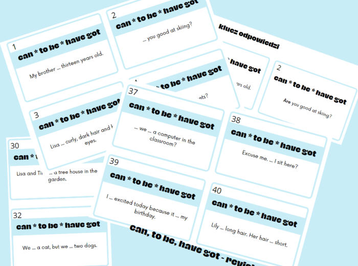 Karty ćwiczące użycie czasowników: to be, have got, can - speaking/grammar