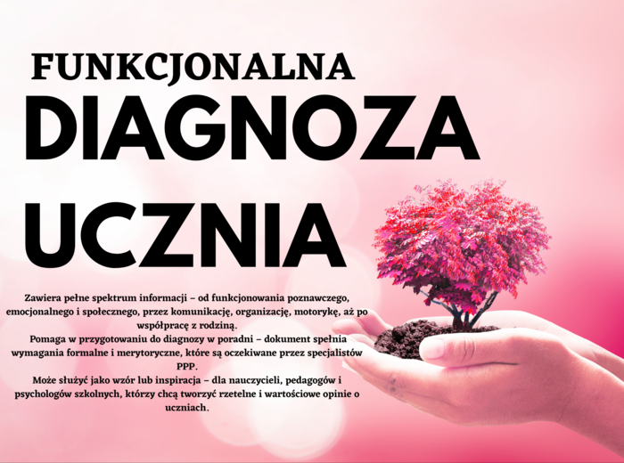 Funkcjonalna diagnoza ucznia