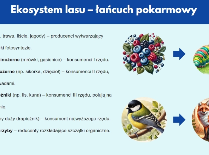 Prezentacja multimedialna. Różne ekosystemy (las, jezioro, góry). Zależności między organizmami