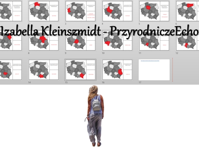 Puzzle/układanka do zalaminowania „Podział administracyjny Polski”. Geografia 7. „Mapa polityczna Europy i podział administracyjny Polski”, „Ludność i urbanizacja”.
