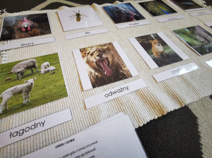 Zwierzęta - porównania - MDJO - bajki - karty montessori