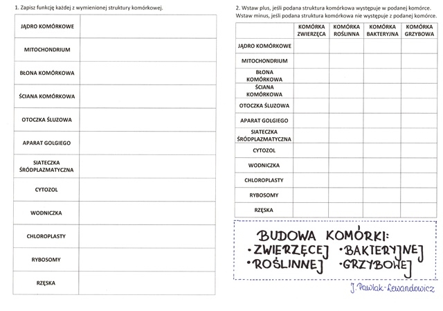 Budowa komórki zwierzęcej, roślinnej, bakteryjnej i grzybowej - karta pracy