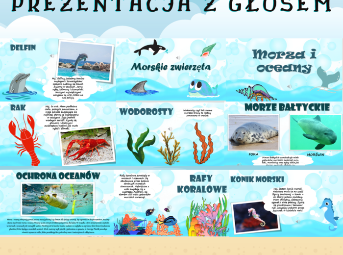 DZIEŃ OCEANÓW / DZIEŃ PLAŻOWY