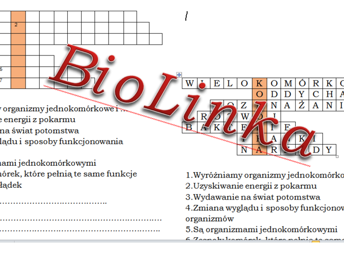 Logogryf dla klasy 4 do tematu "Organizmy mają wspólne cechy"