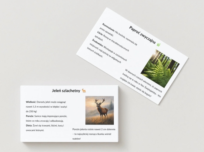 Ekopuzzle. Układanki z ilustracjami ekosystemów