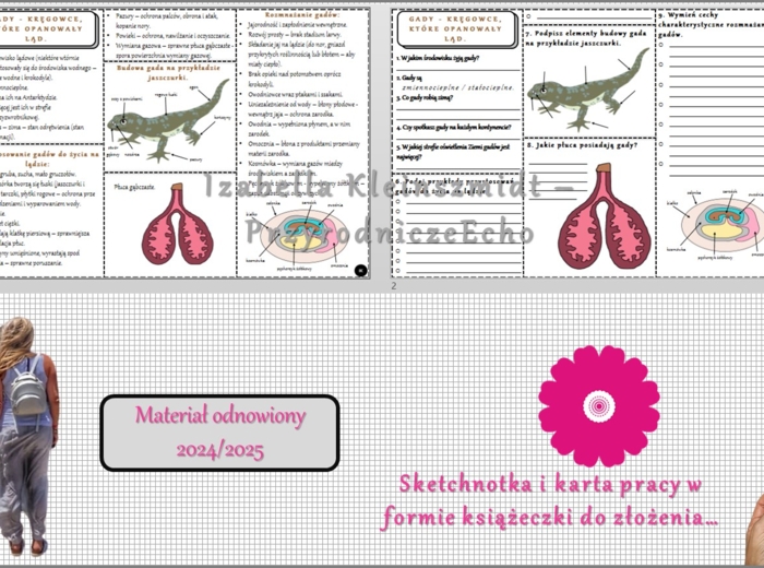 Minizestaw do tematu „Gady - kręgowce, które opanowały ląd” – sketchnotka + karta pracy w pdf + gratisowy link do prezentacji multimedialnej niekomercyjnej wykonanej w genial.ly do indywidualnego pobrania i użycia do celów niekomercyjnych. Biologia 6, Dz
