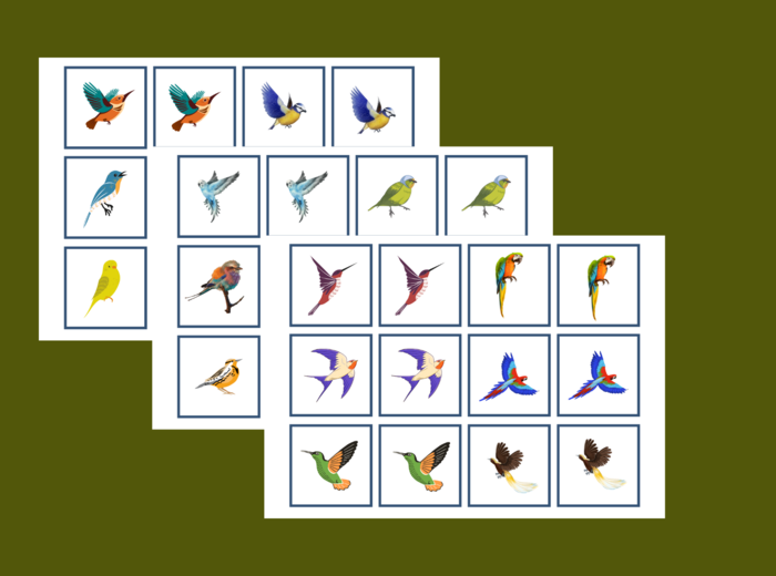 DZIEŃ PTAKÓW – wiosna - memory – 36 szt.