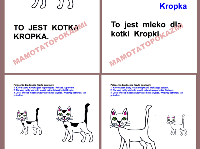 DZIEŃ KOTA. Proste zdania do czytania. Proste rysowanki. PDF do samodzielnego wydruku.