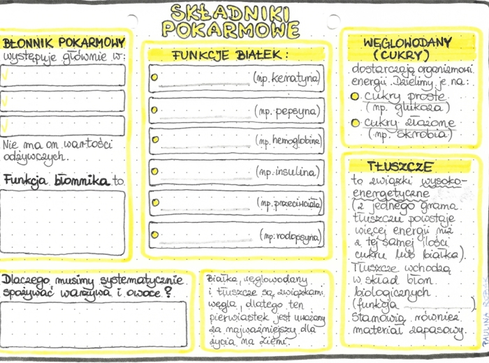 Składniki pokarmowe - kolor - klasa 7