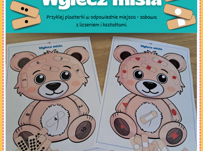 Wylecz misia - Dzień Misia