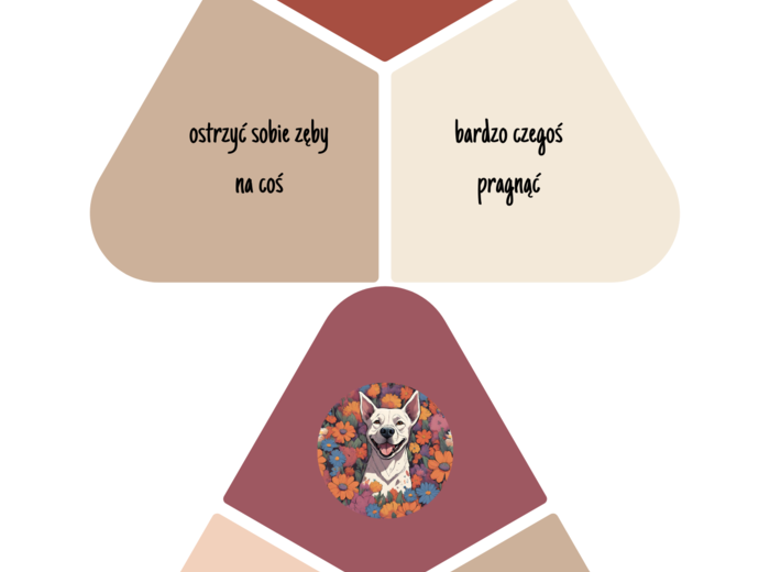 Gra dydaktyczna - związki frazeologiczne.