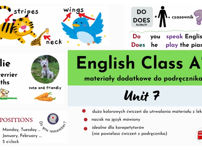 English Class A1, unit 7, materiały dodatkowe do podręcznika, Present Simple