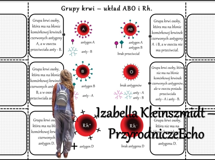 Notatka okienkowa/stacja zadaniowe/notatka/notatka graficzna/karta pracy/sketchnotka „Dziedziczenie grupy krwi”, „Jak zapisać krzyżówkę genetyczną?” w pdf. Biologia 8 dział „Genetyka”. Materiał wykonany na podstawie podręcznika z wydawnictwa Nowa Era – n