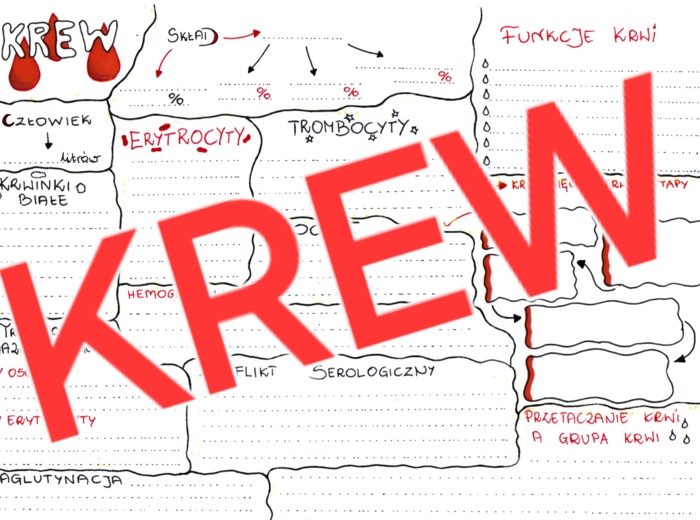 Krew - sketchnotka