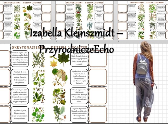 Notatki okienkowe/stacje zadaniowe/notatki/notatki graficzne/karty pracy/sketchnotki „Przegląd i znaczenie roślin okrytonasiennych” „Rozpoznawanie roślin okrytonasiennych” w pdf. Biologia 5 dział „Różnorodność roślin”.
