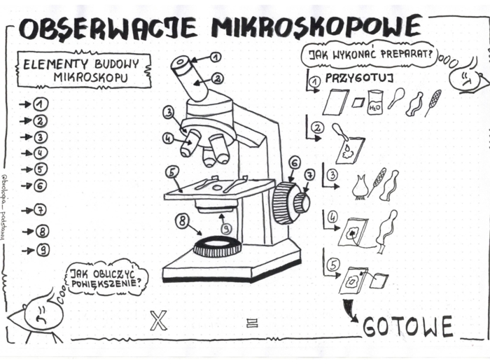 Obserwacje mikroskopowe - klasa 5 - KP