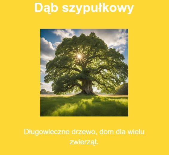 Memory ekologiczne. Zwierzęta, rośliny, działania proekologiczne