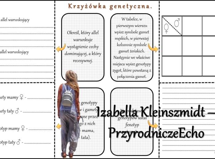 Notatka okienkowa/stacja zadaniowe/notatka/notatka graficzna/karta pracy/sketchnotka „Podstawowe prawa dziedziczenia”, „Krzyżówki genetyczne”, „Podstawowe pojęcia genetyki” w pdf. Biologia 8 dział „Genetyka”. Materiał wykonany na podstawie podręcznika z 