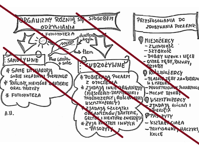 Organizmy różnią się sposobem odżywiania