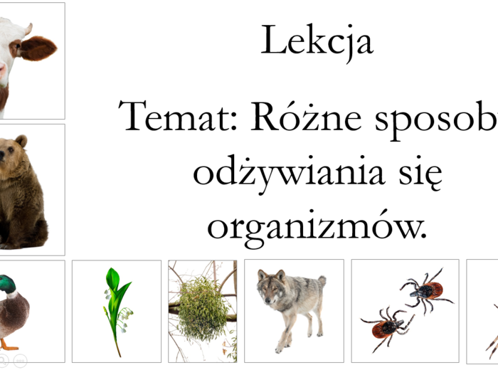 Klasa 4 - Organizmy różnią się sposobem odżywiania - prezentacja