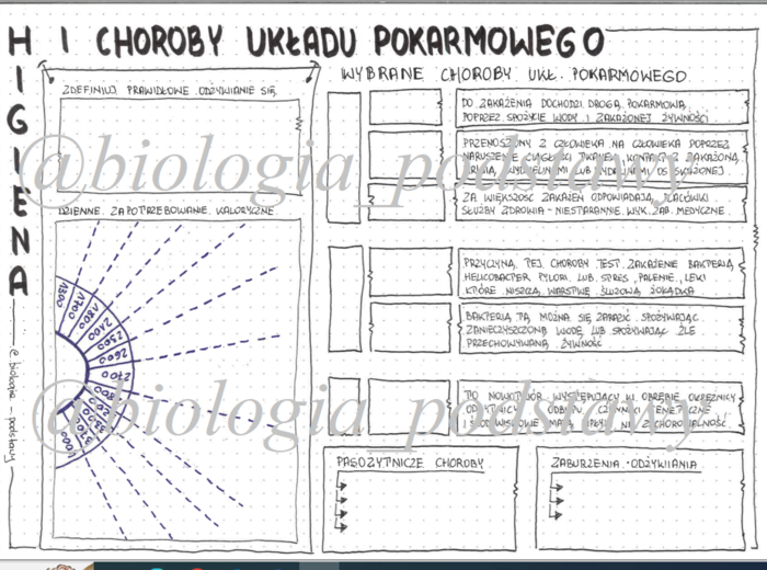 Klasa 7 - Higiena i choroby układu pokarmowego - sketchnotka