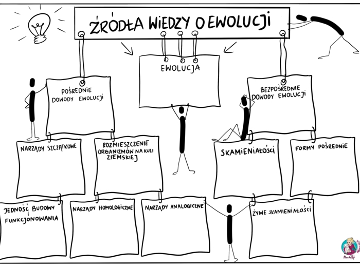 Ewolucja - źródła wiedzy - kl. 8 karta pracy