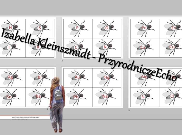 Gra "Muchy" - symbole pierwiastków. Chemia 7 i 8. Do zalaminowania w power point.