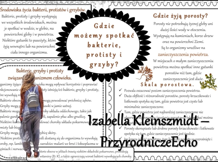 Zestaw sketchnotek/notatek/streszczeń/wklejek/ściąg dla ucznia i nauczyciela w pdf. Biologia 5 dział „Klasyfikacja i systematyka. Wirusy. Bakterie. Prostisty. Grzyby.”. Notatki zostały wykonane na podstawie podręcznika z wydawnictwa WSiP.