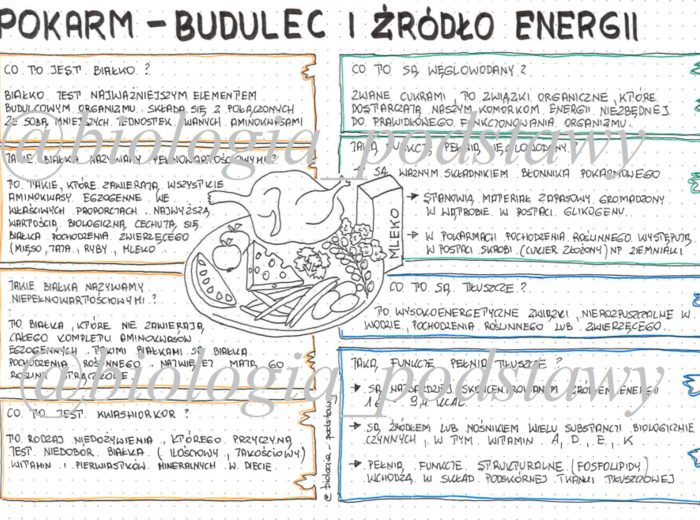 klasa 7 - Pokarm budulec i źródło energii - sketchnotka