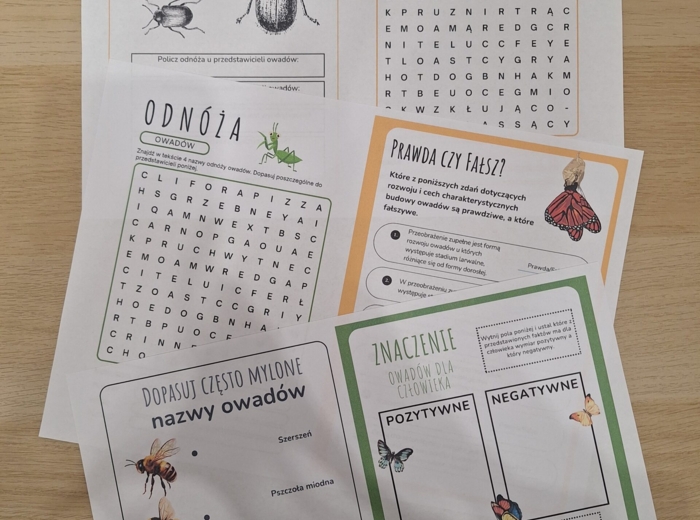 Owady - nowoczesna karta pracy