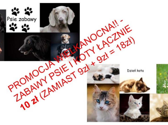 ?Wielkanocna promocja - Zabawy psie i kocie 10 zł