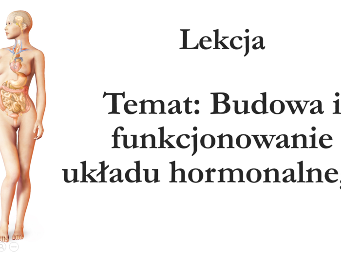 Klasa 7 - Budowa układu hormonalnego - prezentacja