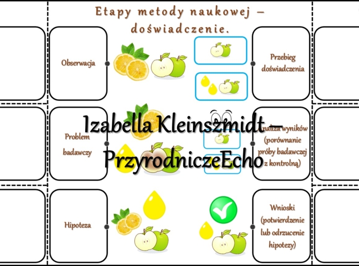 Notatka okienkowa/stacja zadaniowe/notatka interaktywna/notatka graficzna/karta pracy/sketchnotka „Metoda naukowa”, „Doświadczenie”, „Jak sok z cytryny wpływa na ciemnienie jabłka?”, „Jak poznawać przyrodę?” w pdf. Przyroda 4, dział „Poznajemy warsztat p