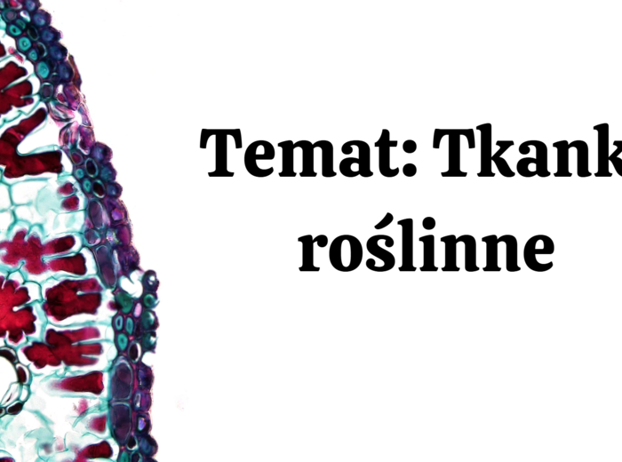 Tkanki roślinne KLASA 2 ROZSZERZENIE