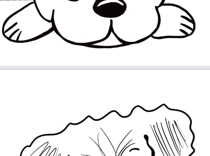 Dzień Kundelka - plakat, opaski