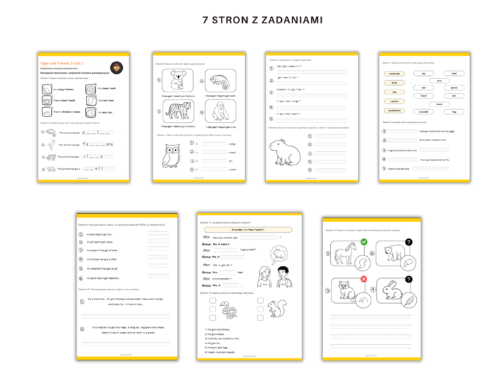Tiger and Friends Klasa 3 Unit 2 Nazwy części ciała Opis zwierzat Dodatkowe Ćwiczenia Karty Pracy