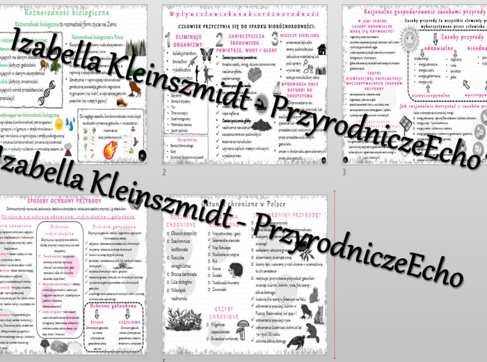 Zestaw sketchnotek – notatek do całego działu „Człowiek i środowisko” wykonanych w power point do edycji. Biologia 8
