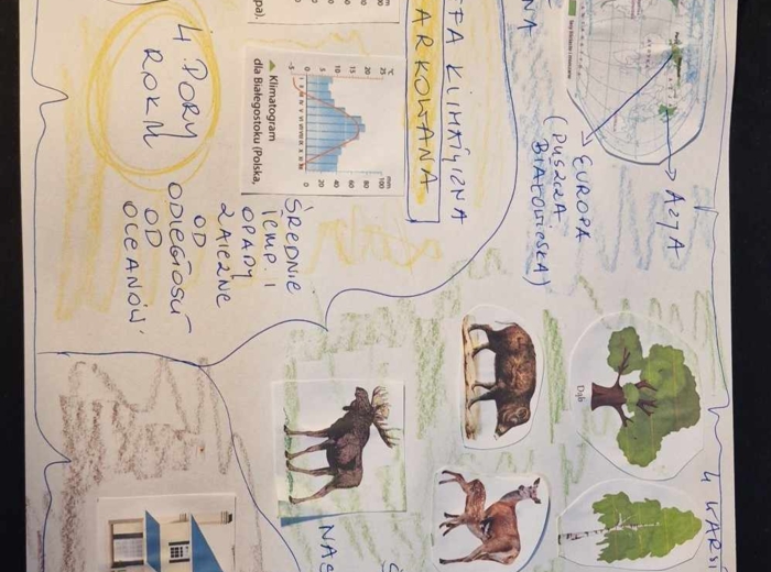 Materiał do wycięcia/wycinanka do notatki „W wilgotnym lesie równikowym i w lasach liściastych i mieszanych” w pdf. Geografia 5, dział „Krajobrazy świata”.